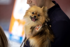 Protecting Paws District Office Event