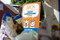 Protecting Paws District Office Event