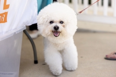 Protecting Paws District Office Event