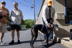 Protecting Paws District Office Event