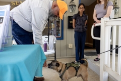 Protecting Paws District Office Event