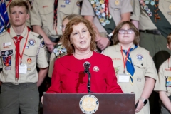 Scouts of America annual report presentation