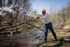 Trout Stocking