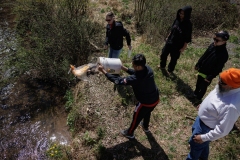 Trout Stocking