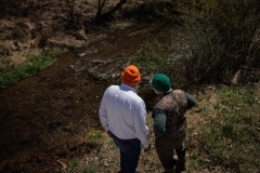 Trout Stocking