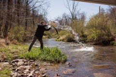 Trout Stocking