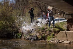 Trout Stocking