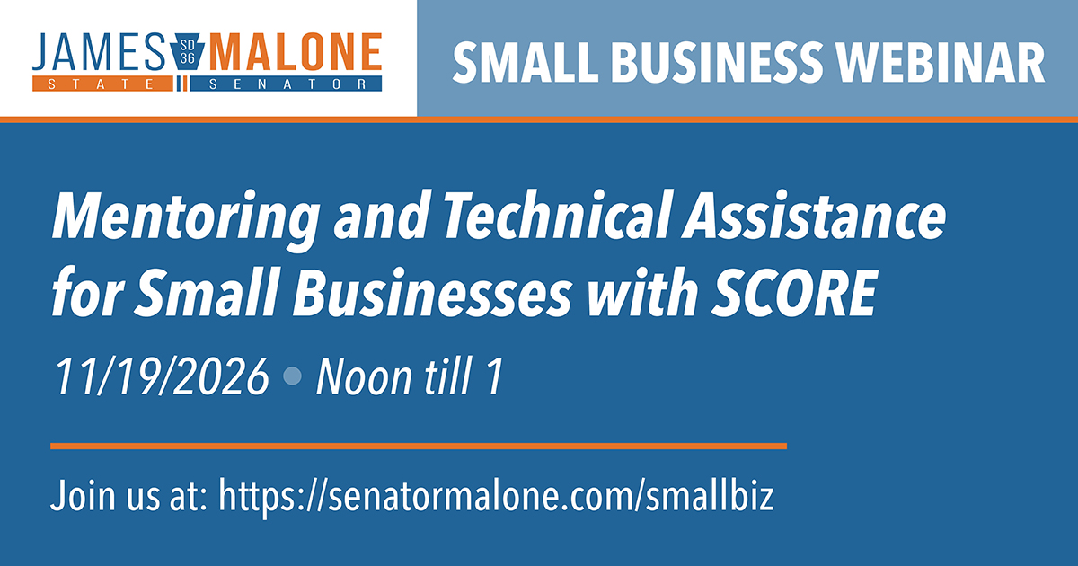 Small Business Webinar Series: Mentoring and Technical Assistance for Small Business - November 19, 2026