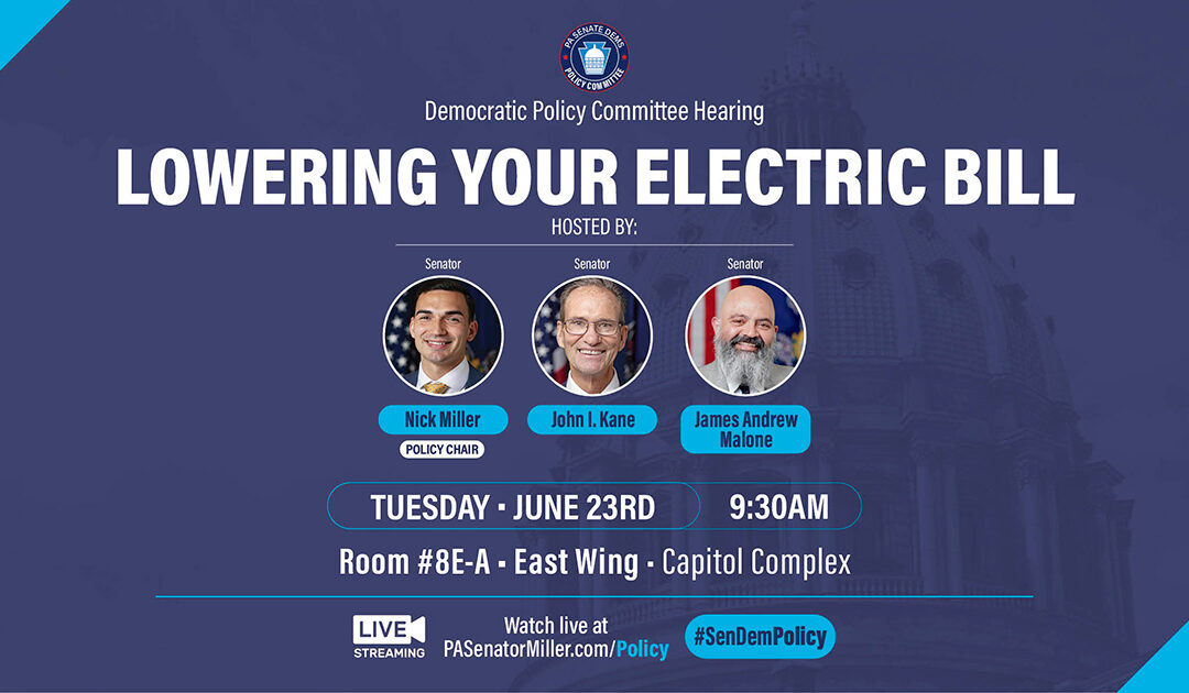 Senate Democratic Policy Committee Hearing on Lowering Your Electric Bill 