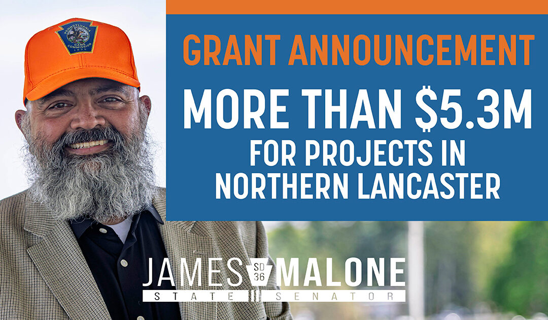 Senator Malone Announces More Than $5.3 Million in LSA Funding for Projects in the 36th Senatorial District